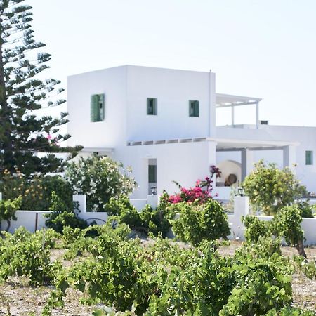 אדאמאס Glarakia Studios מראה חיצוני תמונה