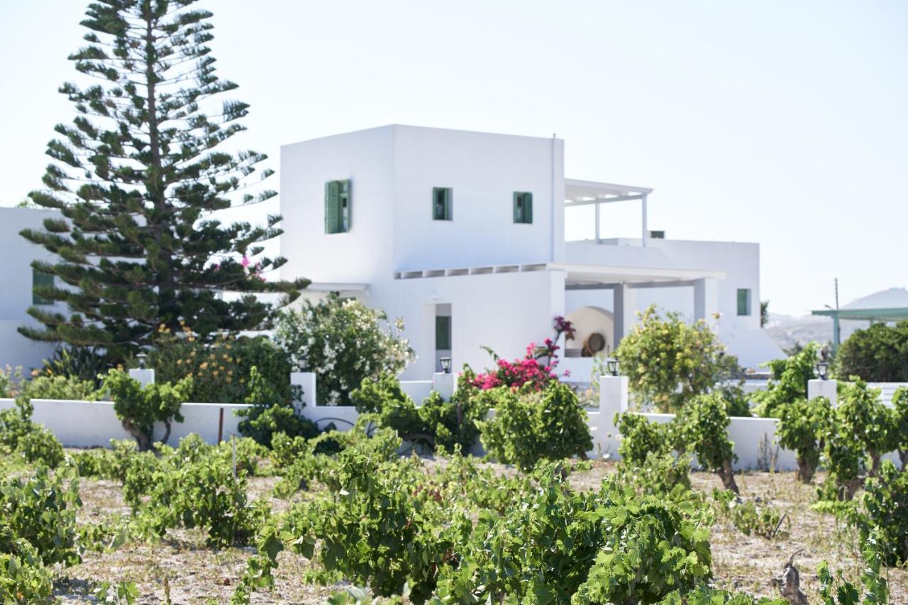 אדאמאס Glarakia Studios מראה חיצוני תמונה